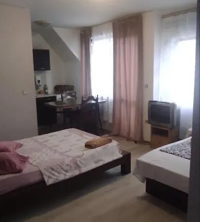 Ivaylo Homestay